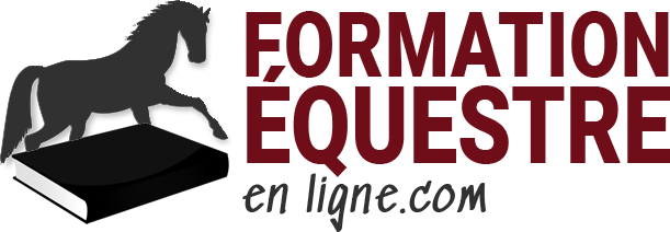 Formation équestre